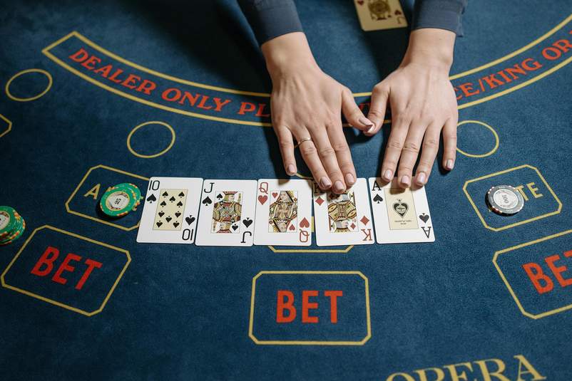 Exploring the Wild Vegas Casino Mobile Website